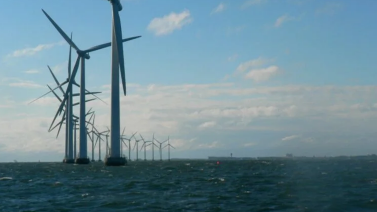 New Jersey to fund research on offshore wind impacts on whales