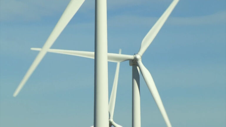 Federal judge strikes down Trump ban on offshore wind development