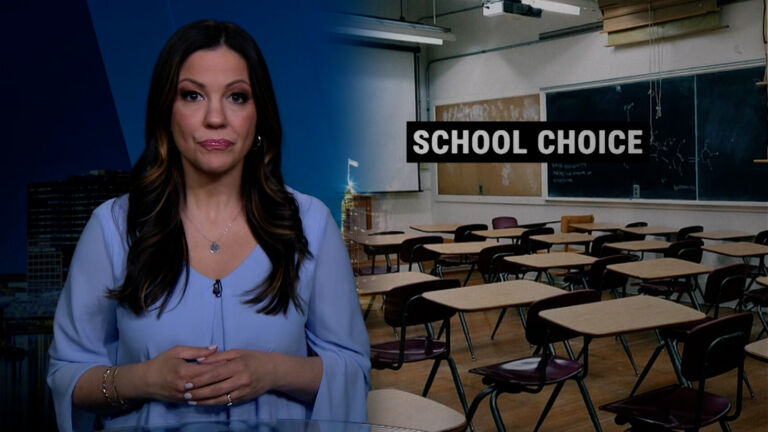 ‘School choice’ bill revs up voucher debate