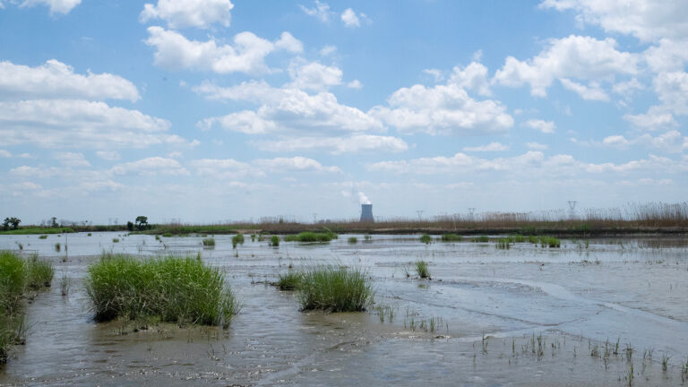 Remaking an NJ marsh with sediment dredged for new Wind Port