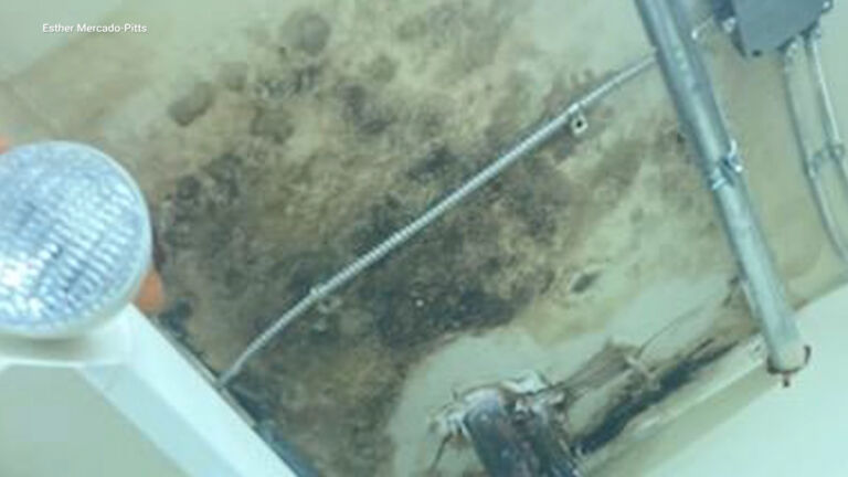 Camden Housing Authority ignores needed repairs, residents complain