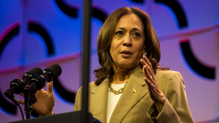 NJ South Asian voters cautiously optimistic about Harris