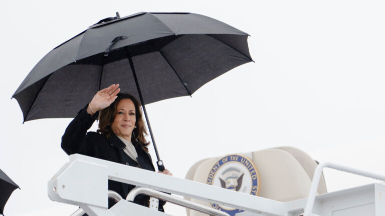 A delegate dance: Who gets to decide if Kamala Harris is the Democratic nominee?