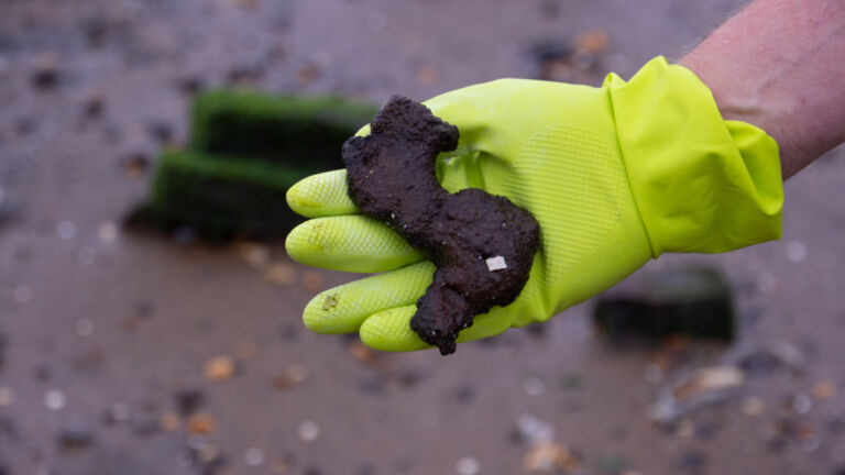 State promises clean up of lead-tainted debris on Keyport beach