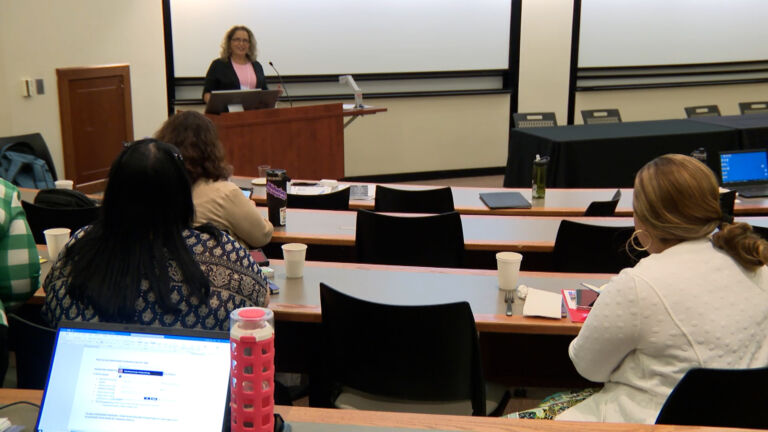 Providers, advocates share best maternal health practices