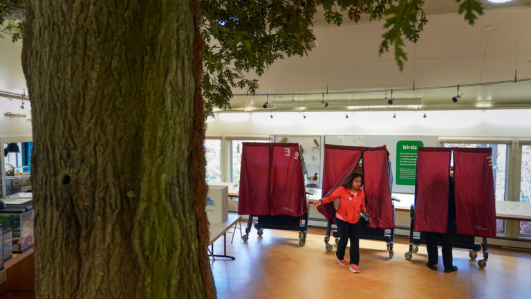 A guide for voters in 10th District special primary election