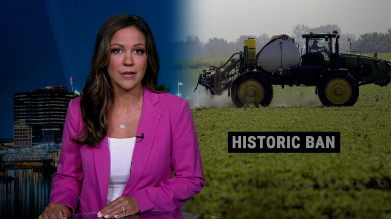EPA bans pesticide linked to fetal health risks