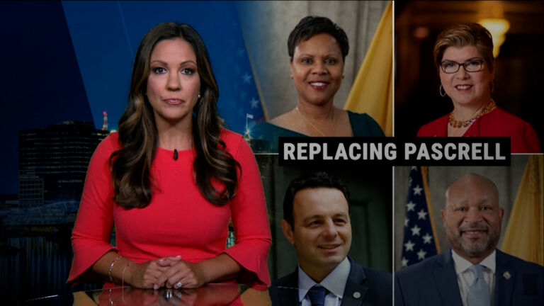 Democratic bosses support Sen. Pou to replace Rep. Pascrell