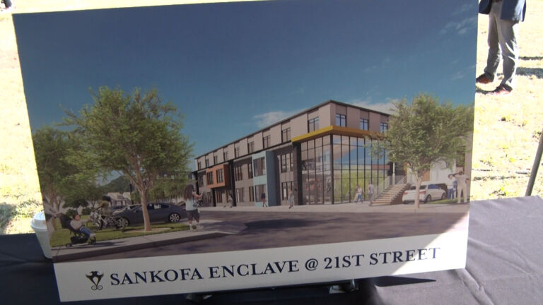 The Sankofa Enclave: Development plan to eliminate blight in Irvington