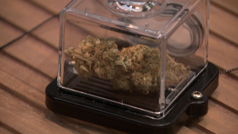 Push to raise state fees on legal marijuana on hold