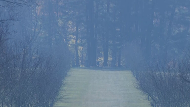 Massive North Jersey wildfire under control