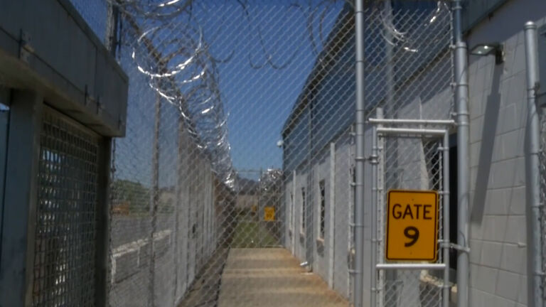 Should elderly prisoners get early release?