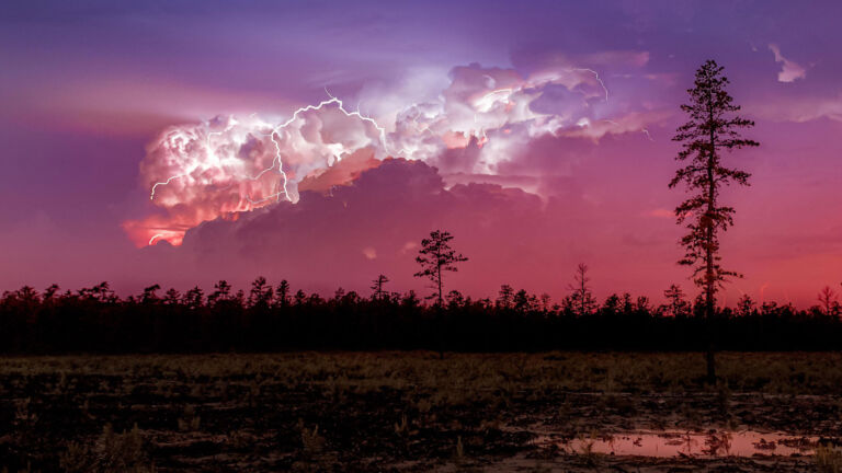 Pinelands facing more fires and floods as climate changes, report says