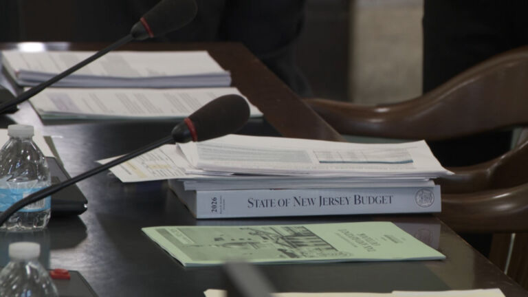 Lawmakers grapple with impact on NJ of volatile market, federal cuts