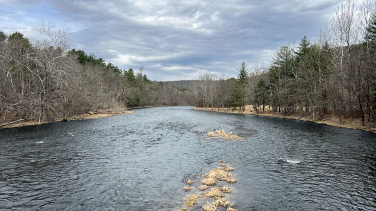 Experts weigh up possible White House impacts on Delaware River watershed