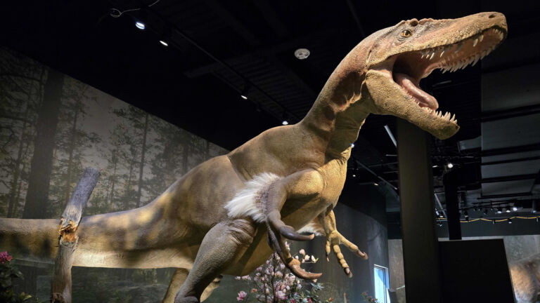 New Edelman dinosaur museum aims to educate and inspire