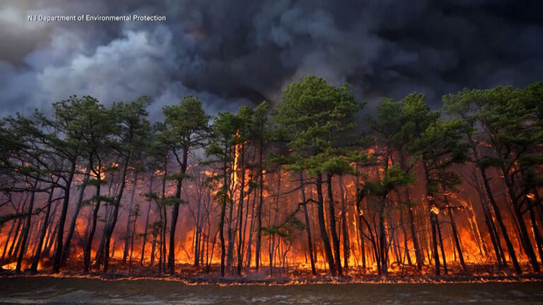 The New Jersey wildfire signals new era for Northeast