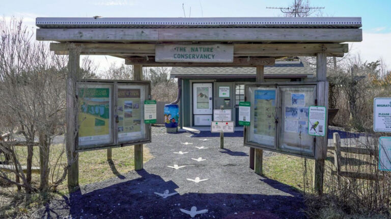 South Cape May Meadows: A washed-up town turned nature preserve