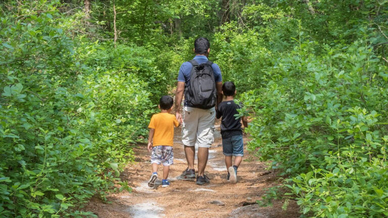 Essential Pinelands waters under renewed development threat