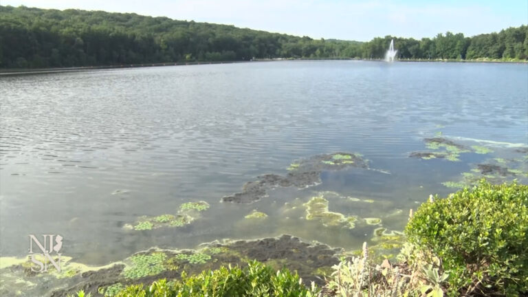 Heat, storms spur harmful algal blooms in NJ lakes and reservoirs