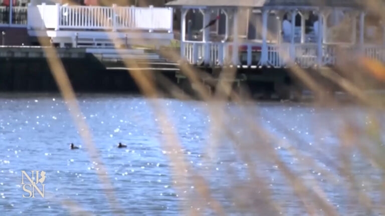 ‘Nobody seems to be happy’ with revised DEP flood rules