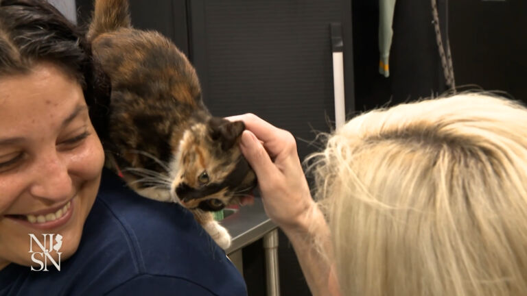 Newark animal shelter invites influencers to tell tales, spur adoptions
