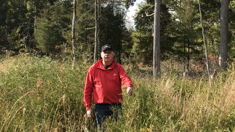 Q&A: How can NJ better preserve the Pinelands?