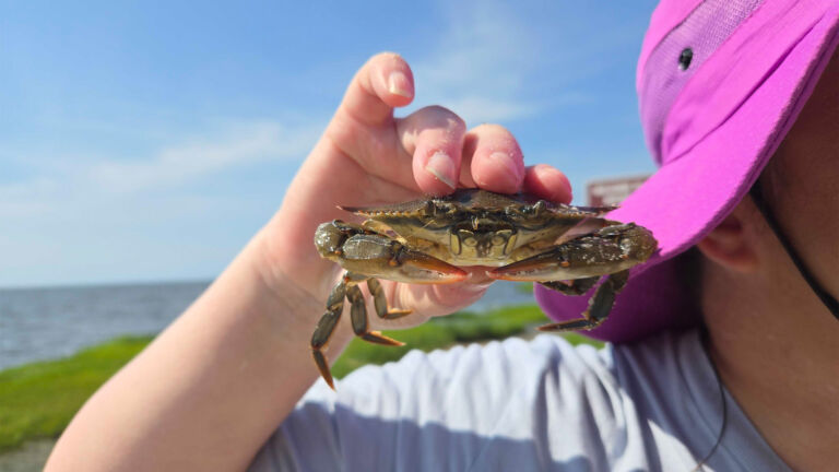 Teachers get to see climate-change research up close