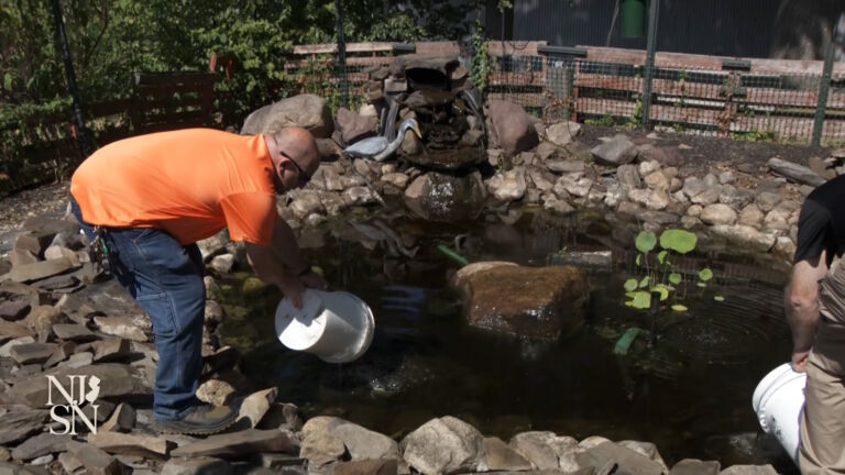 West Nile evidence rising in NJ mosquito ‘hot spots’