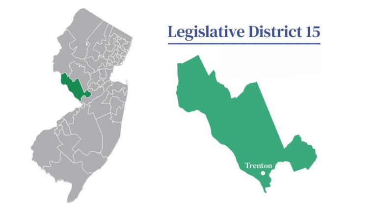 2025 election guide: LD15