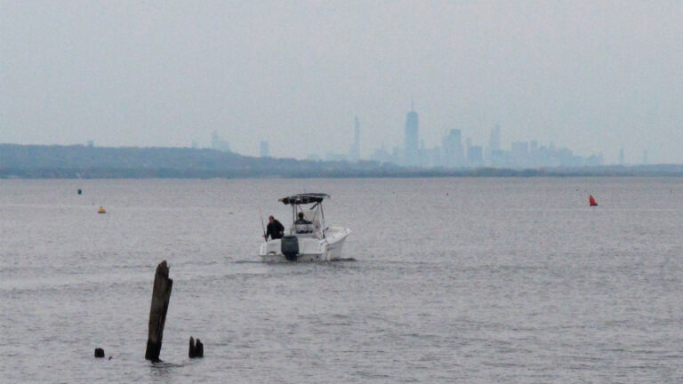 Northeast pipeline project allowed to disrupt marine wildlife