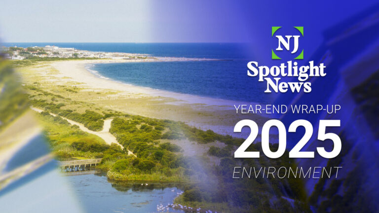 NJ 2025: The year in the environment