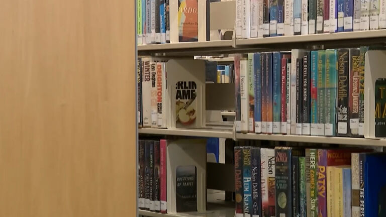 Q&A: Public libraries counting on bill to combat huge cost of e-books