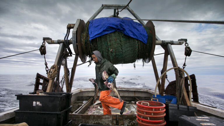 Congress moves to protect use of toxic bullets, fishing gear