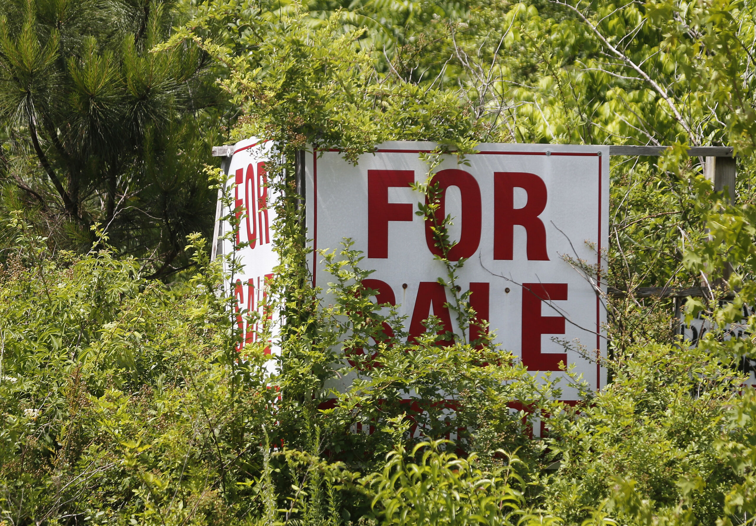 NJ needs stronger safeguards against real-estate scam, state watchdog says