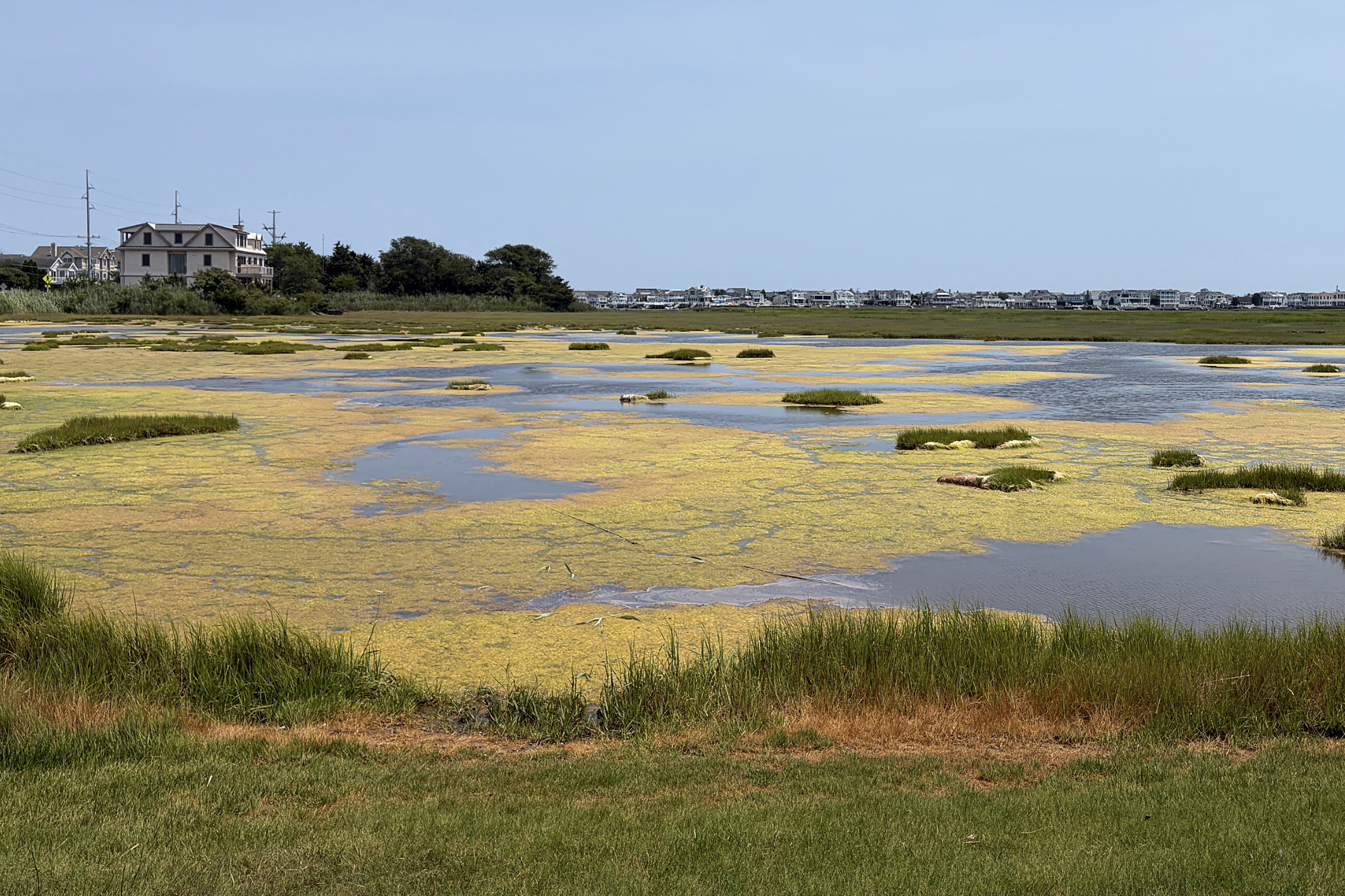 How to save endangered NJ marsh from rising sea: Build it higher