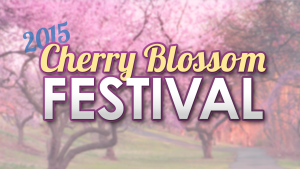 2015CherryBlossomFestival