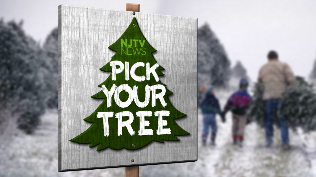 PickYourTree